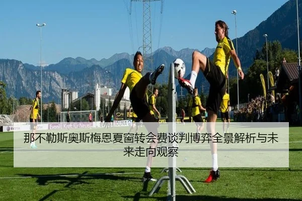 那不勒斯奥斯梅恩夏窗转会费谈判博弈全景解析与未来走向观察
