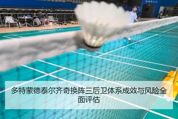 多特蒙德泰尔齐奇换阵三后卫体系成效与风险全面评估
